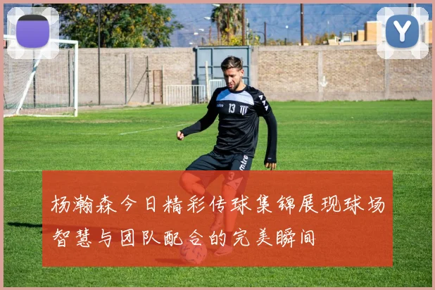 杨瀚森今日精彩传球集锦展现球场智慧与团队配合的完美瞬间